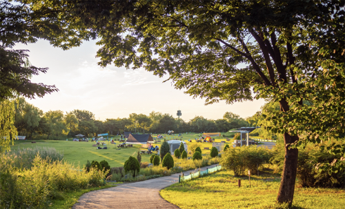 From waste mountain to ecological park: Restoring Nanjido’s natural beauty in South Korea